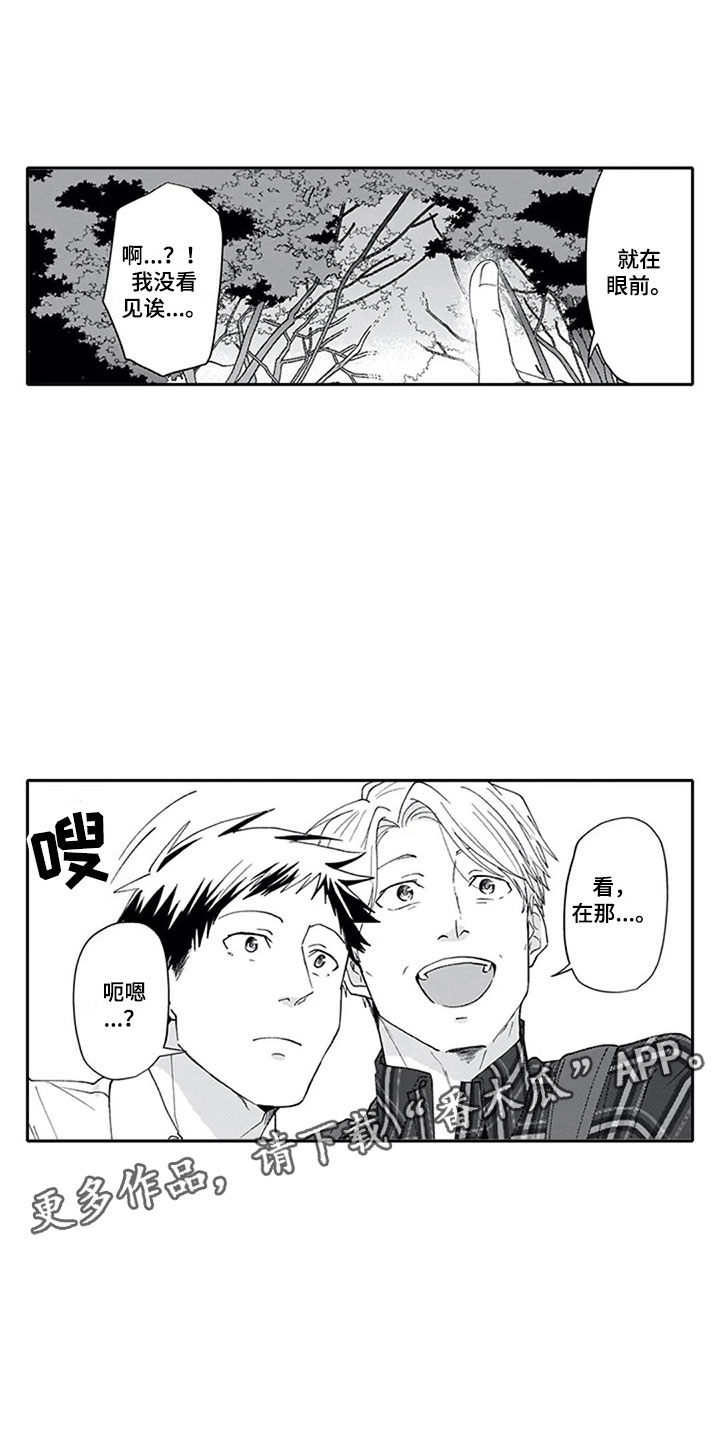 第7章：观察1