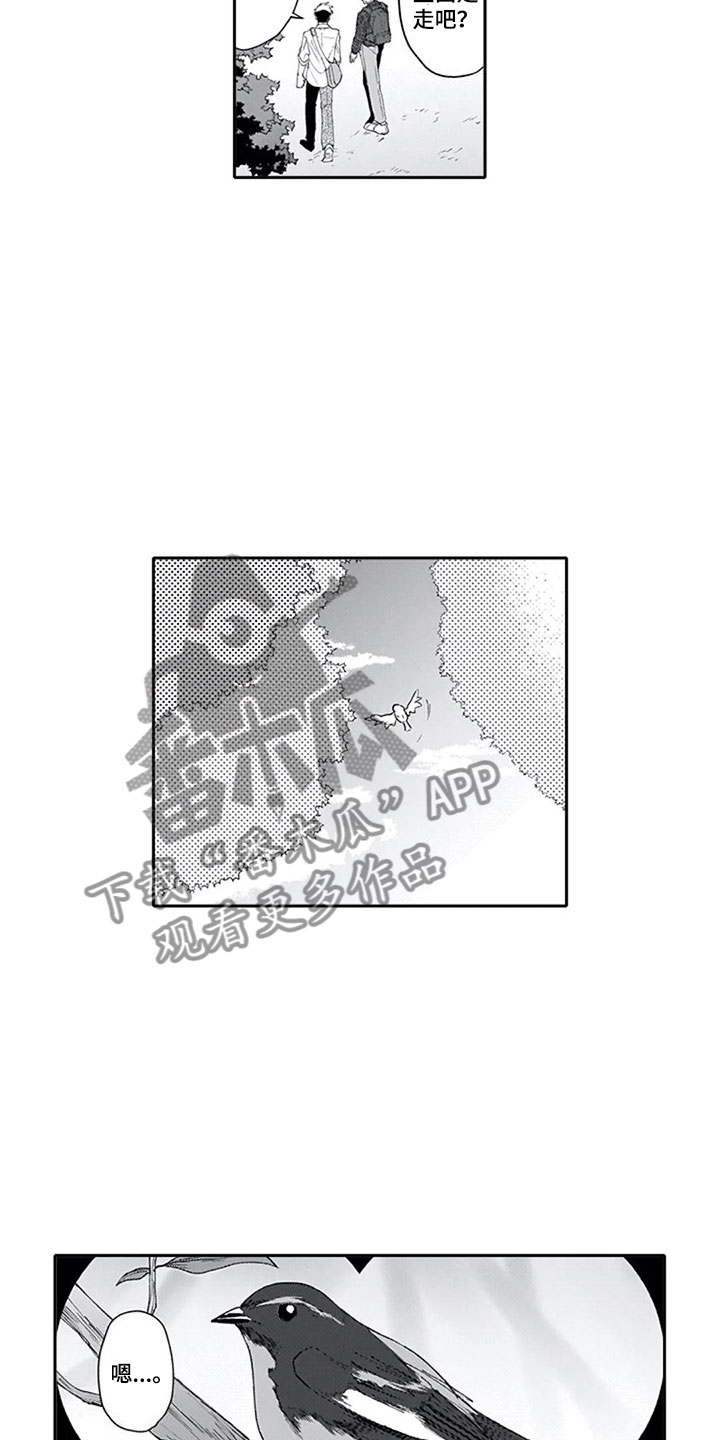 第7章：观察4
