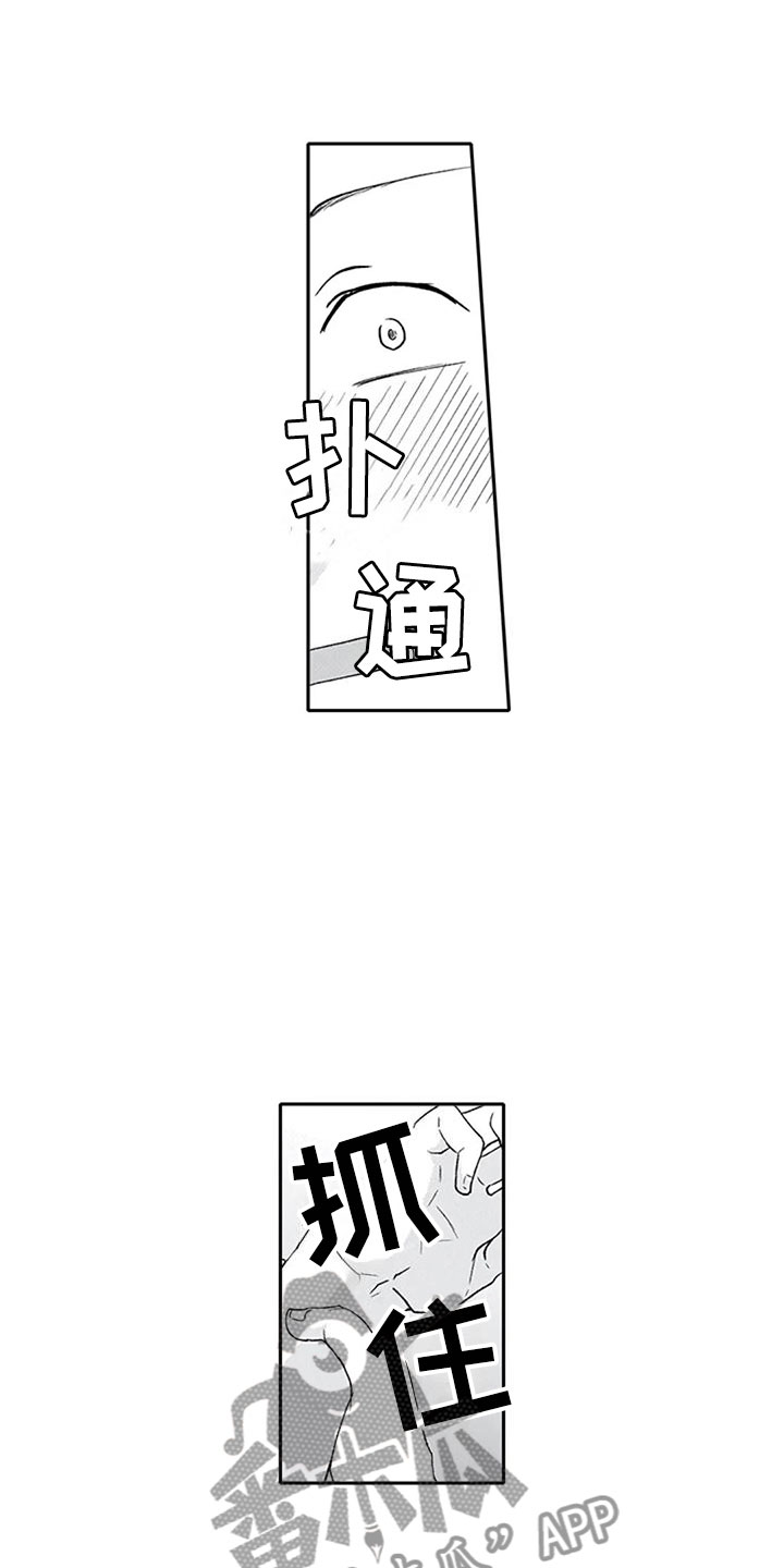 第26章：狂野5