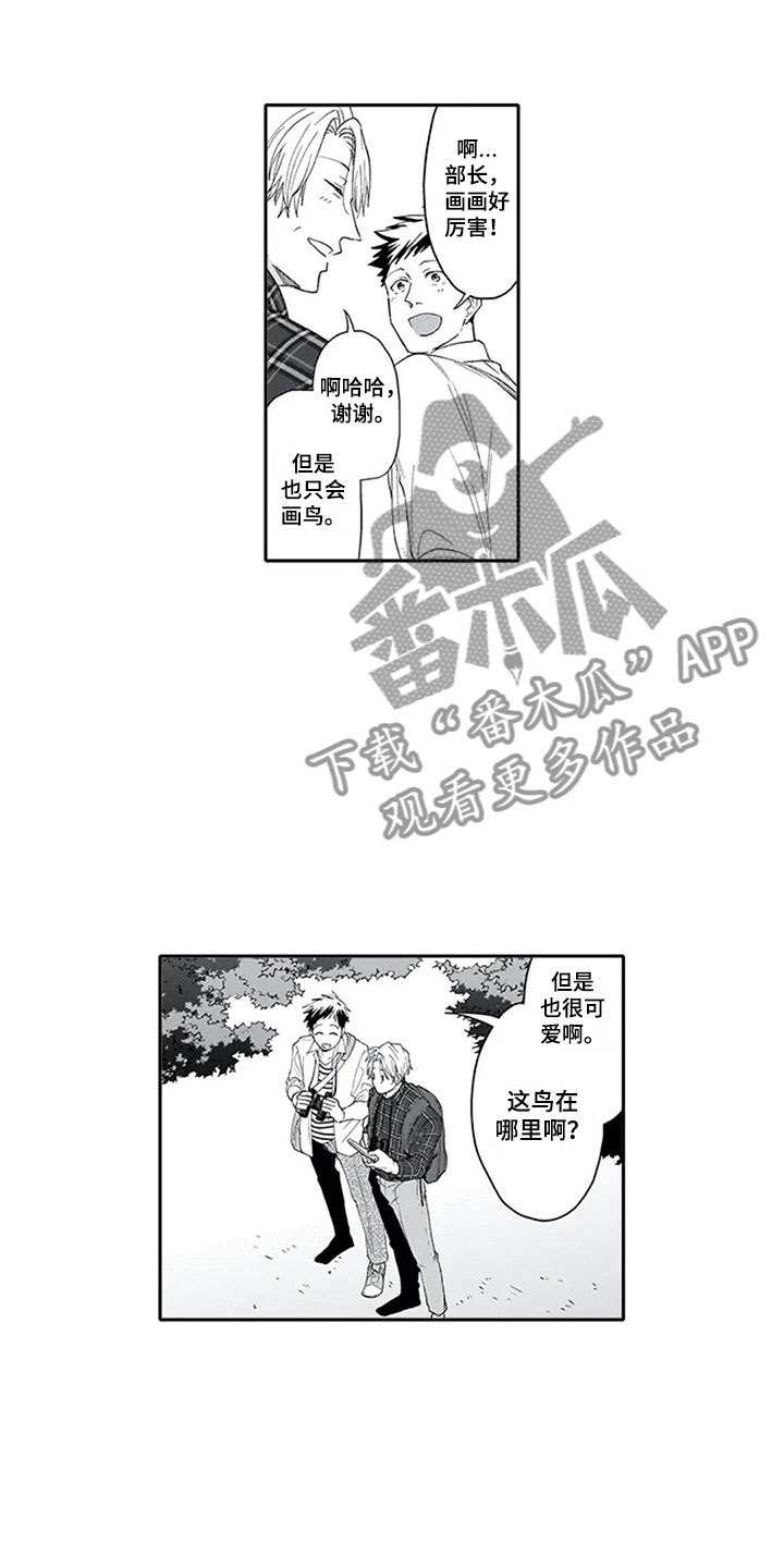 第7章：观察0
