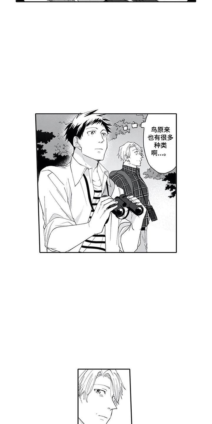 第7章：观察5