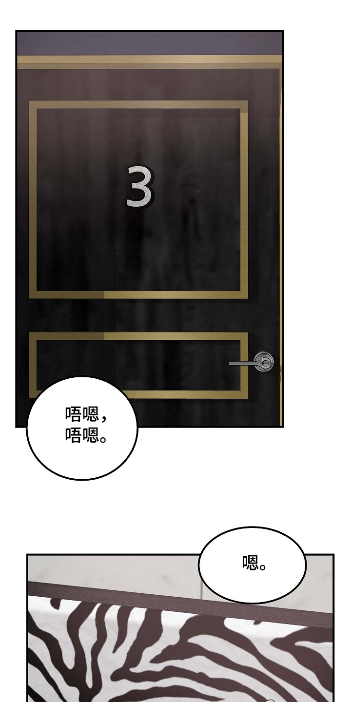 第212章：另一种意义0