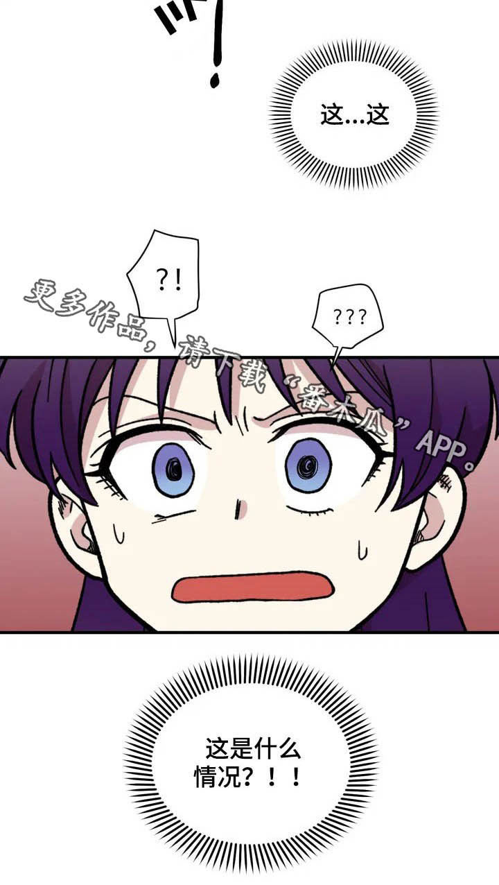 第37章：收留17