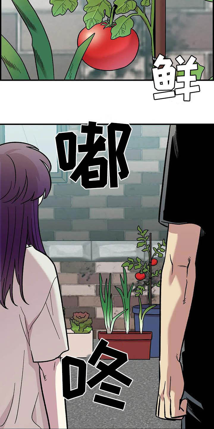 第52章：买菜14