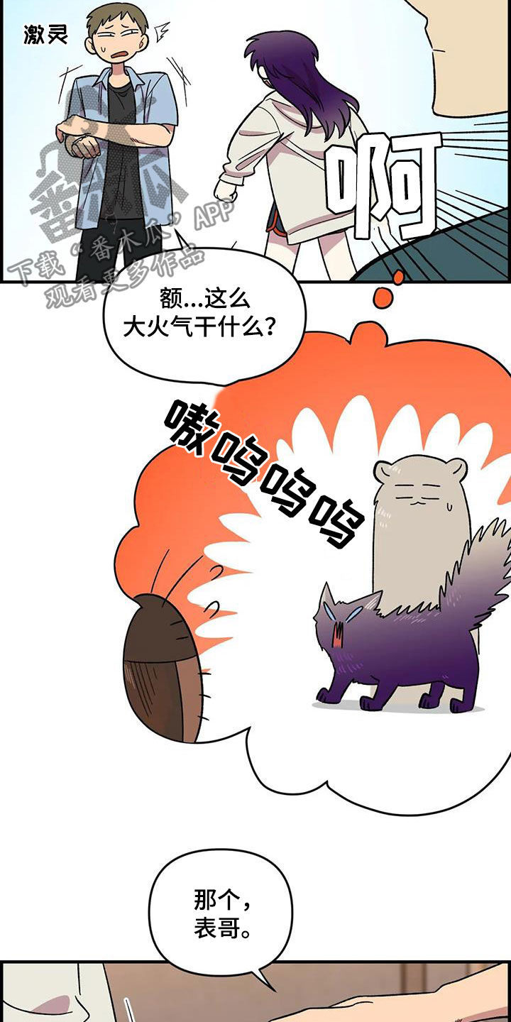 第75章：【第二季】实力碾压8