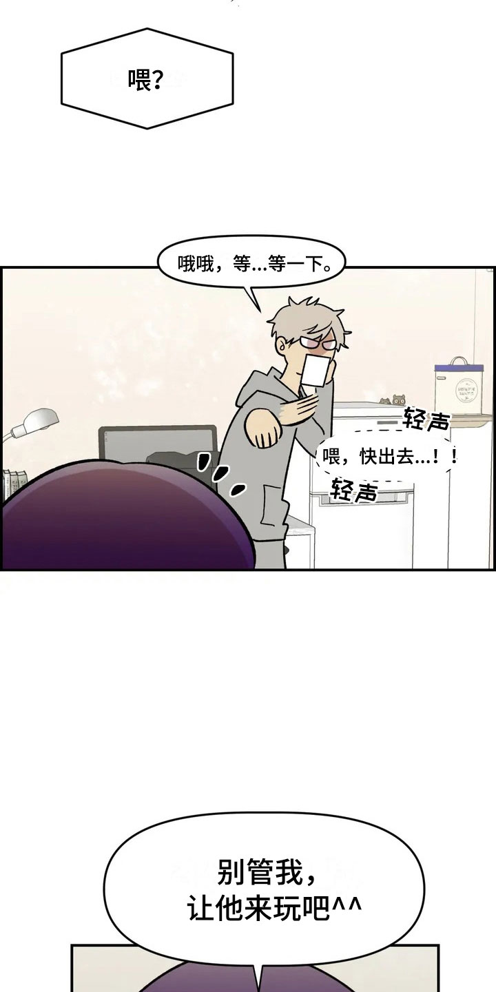 第4章：收留0