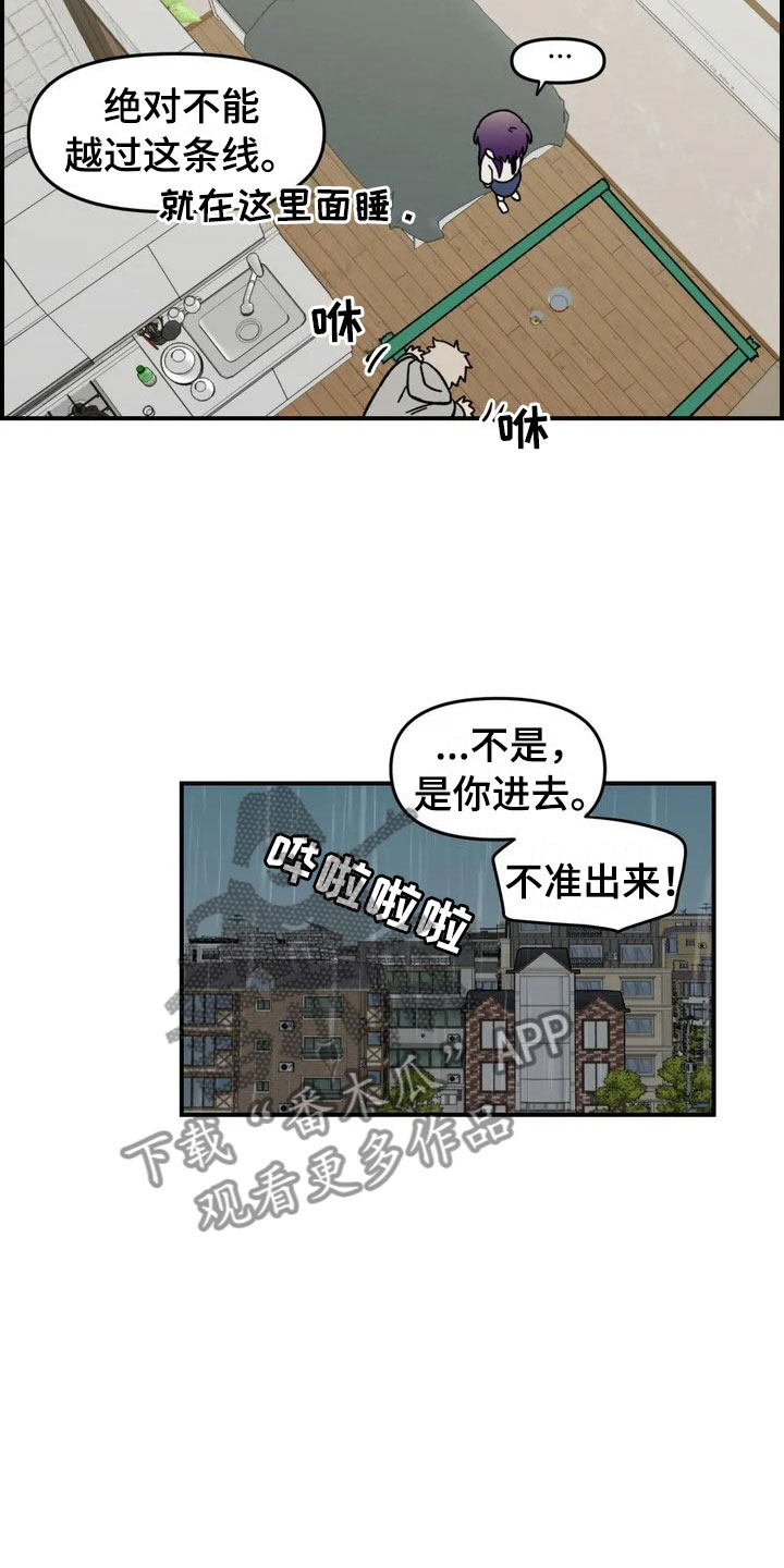 第4章：收留11