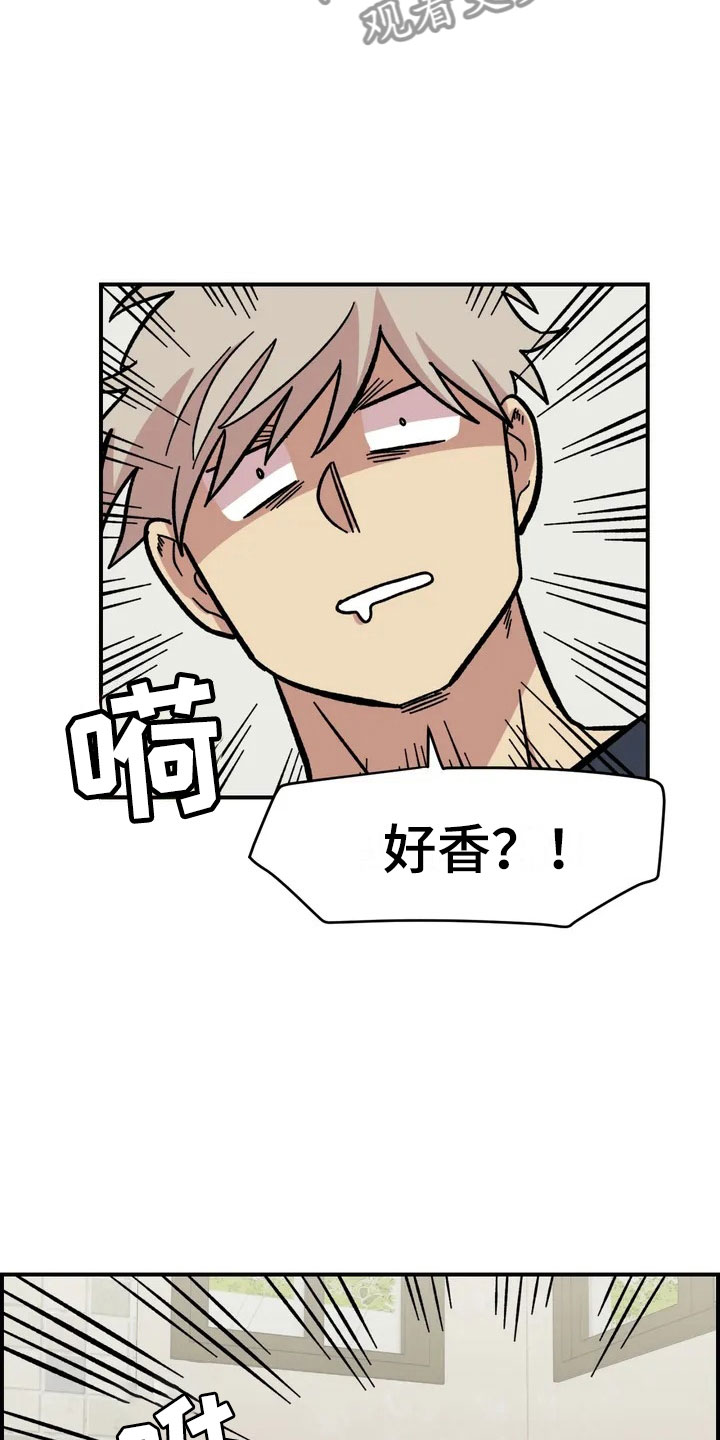 第4章：收留14