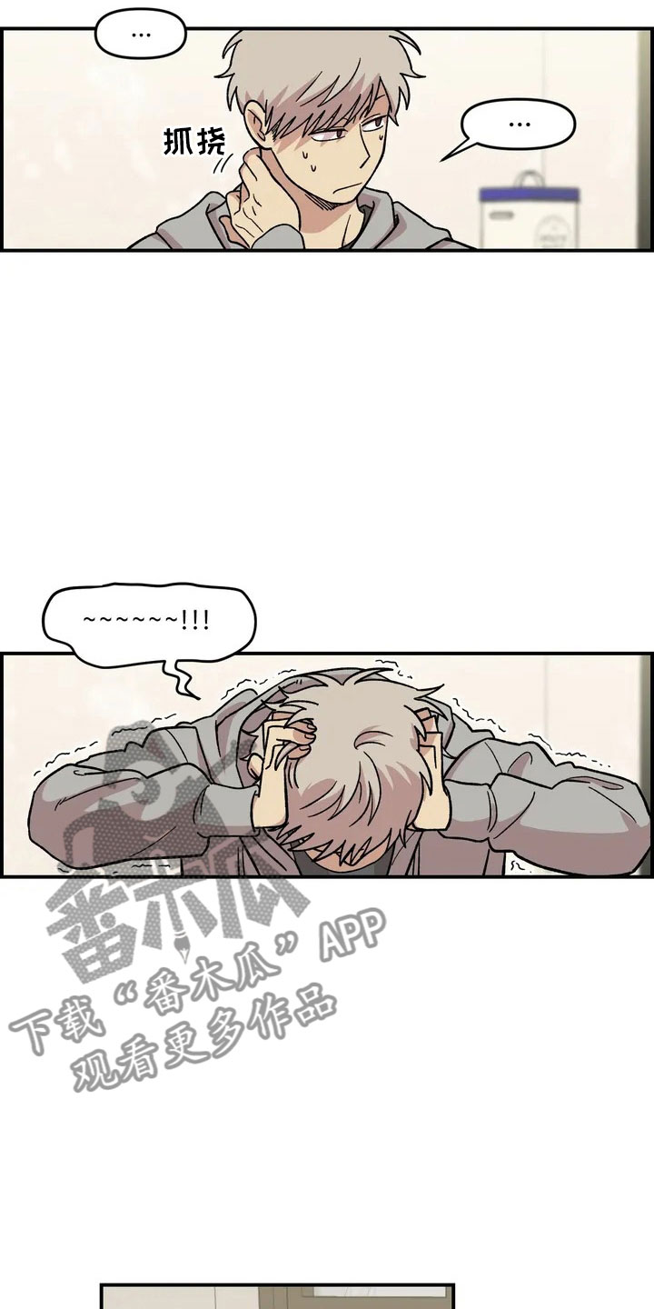 第4章：收留9