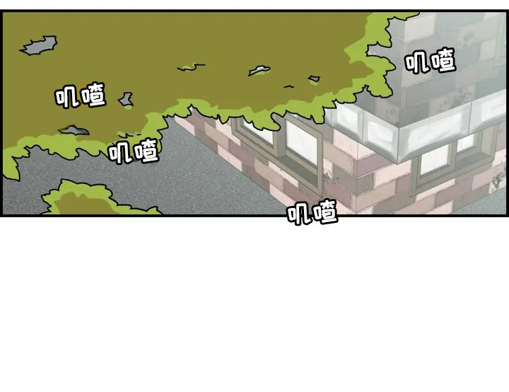 第4章：收留12