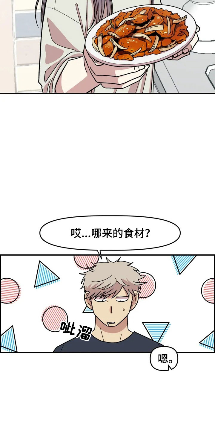 第4章：收留17