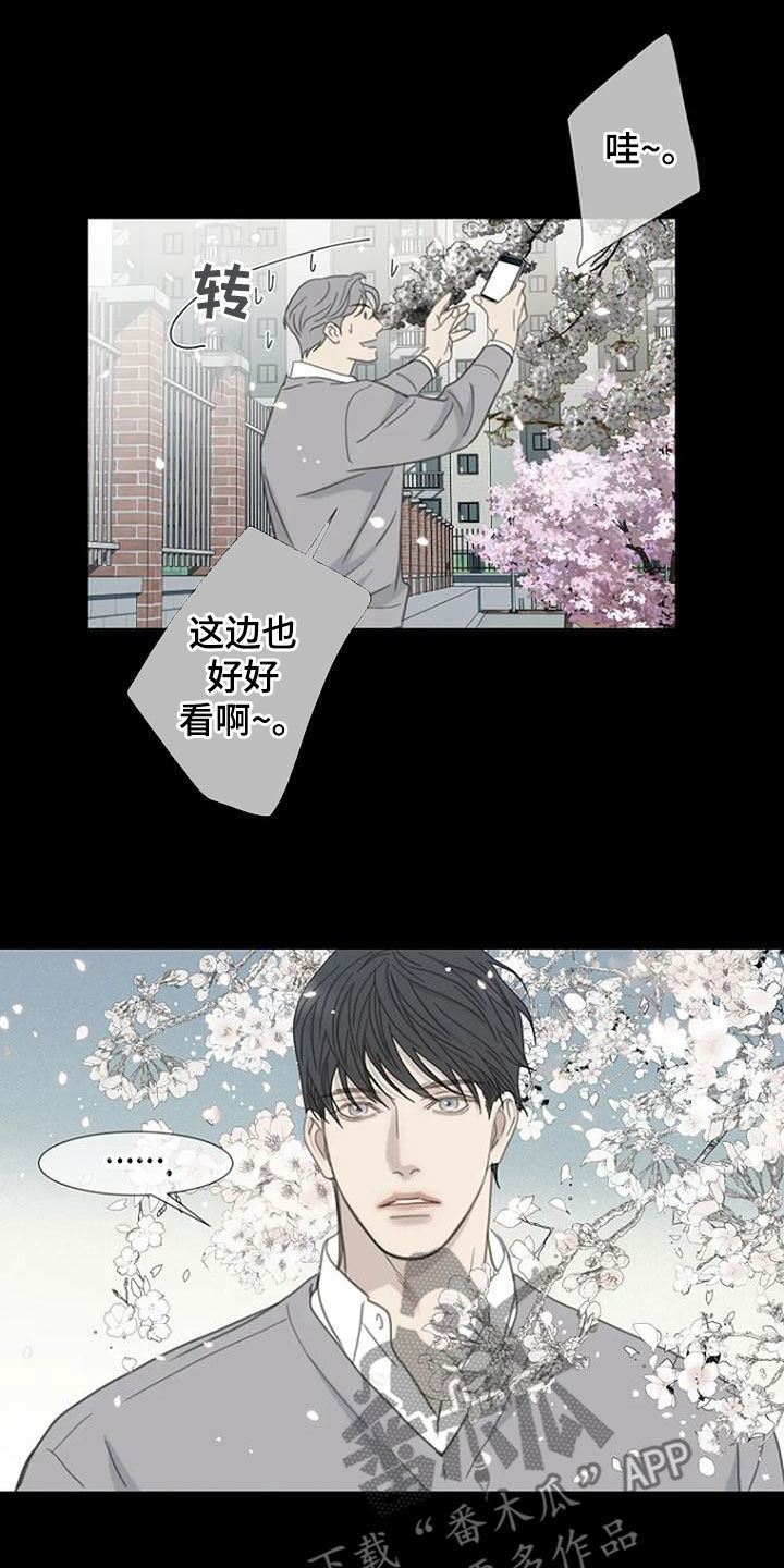 第76章：【第二季】樱花18