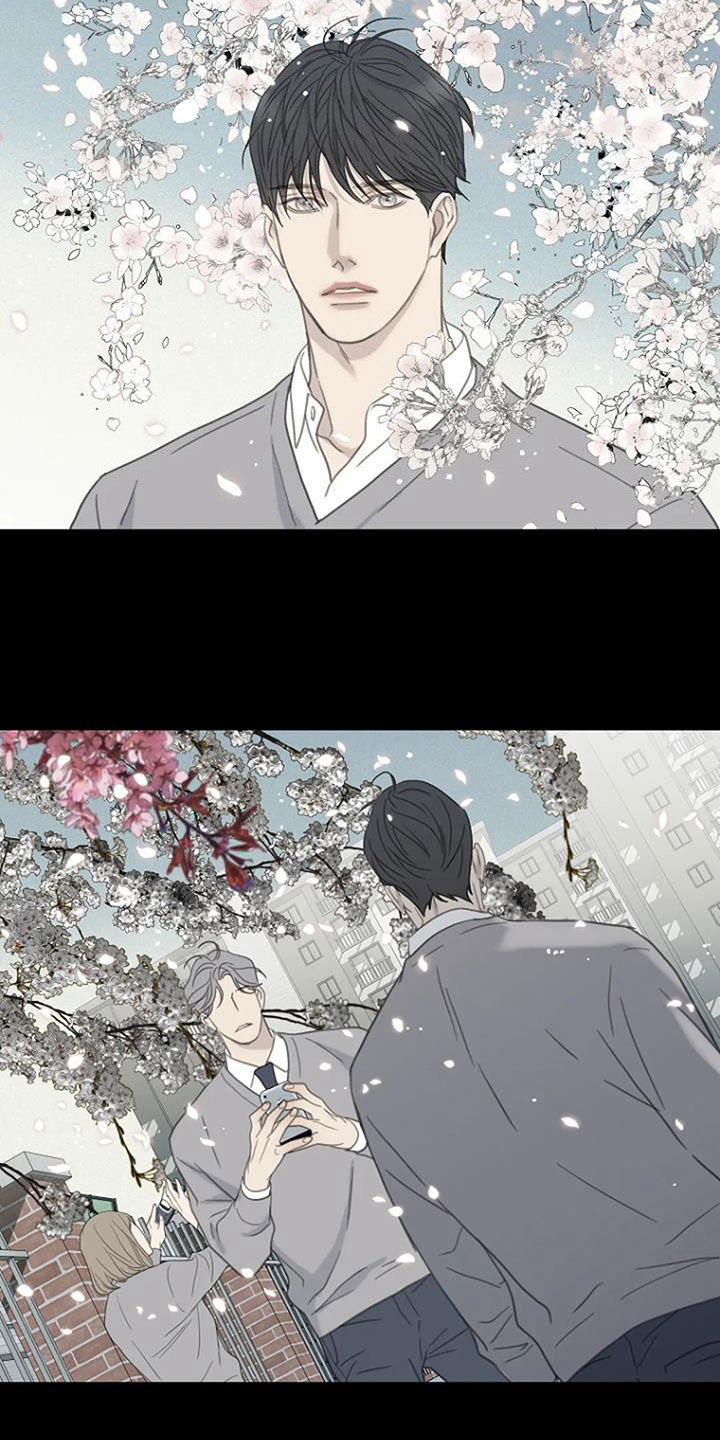 第76章：【第二季】樱花17