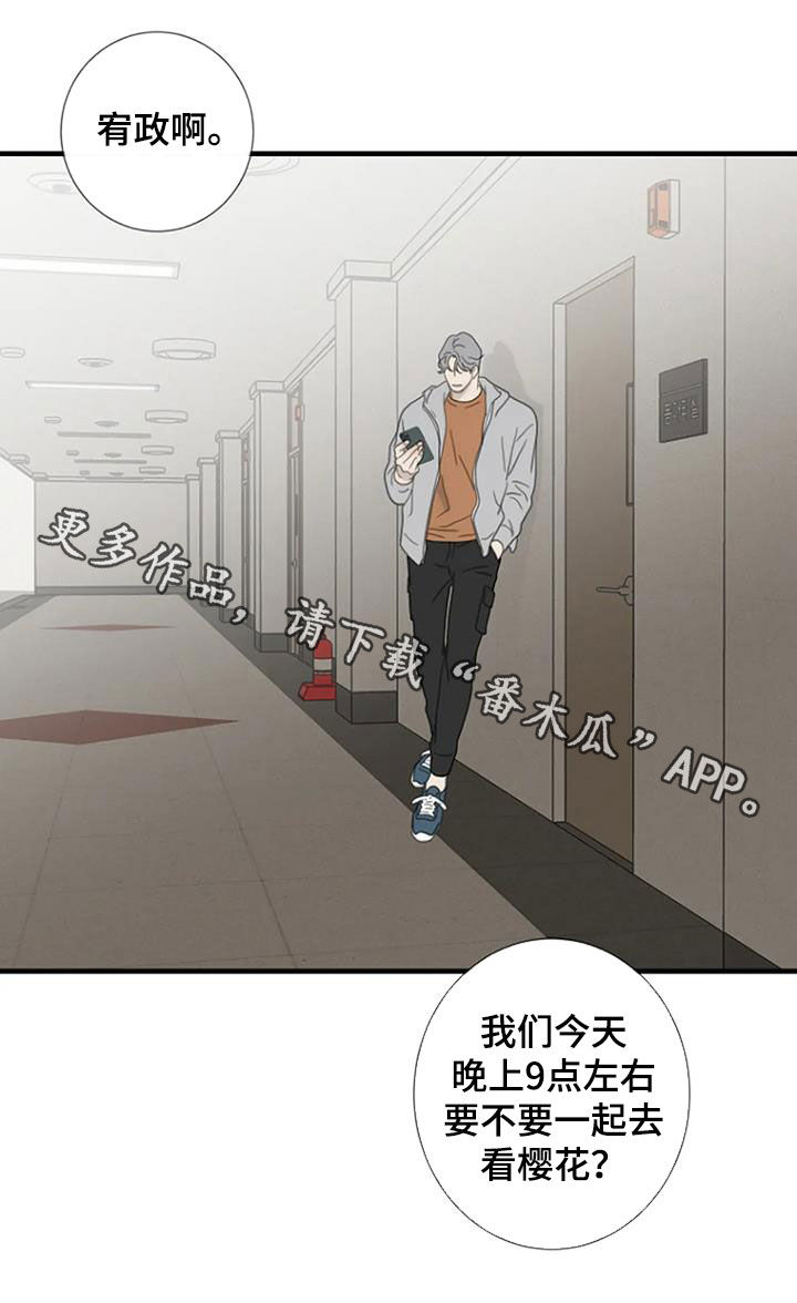 第76章：【第二季】樱花26