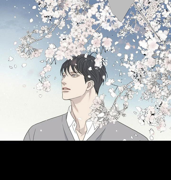 第76章：【第二季】樱花15