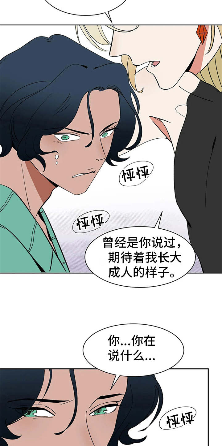 第6章：宝石4