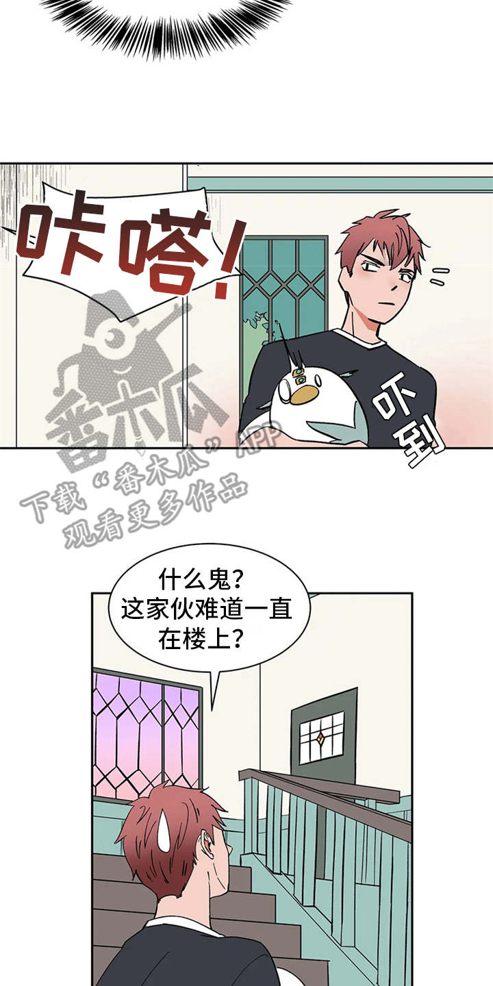 第16章：自由翱翔19