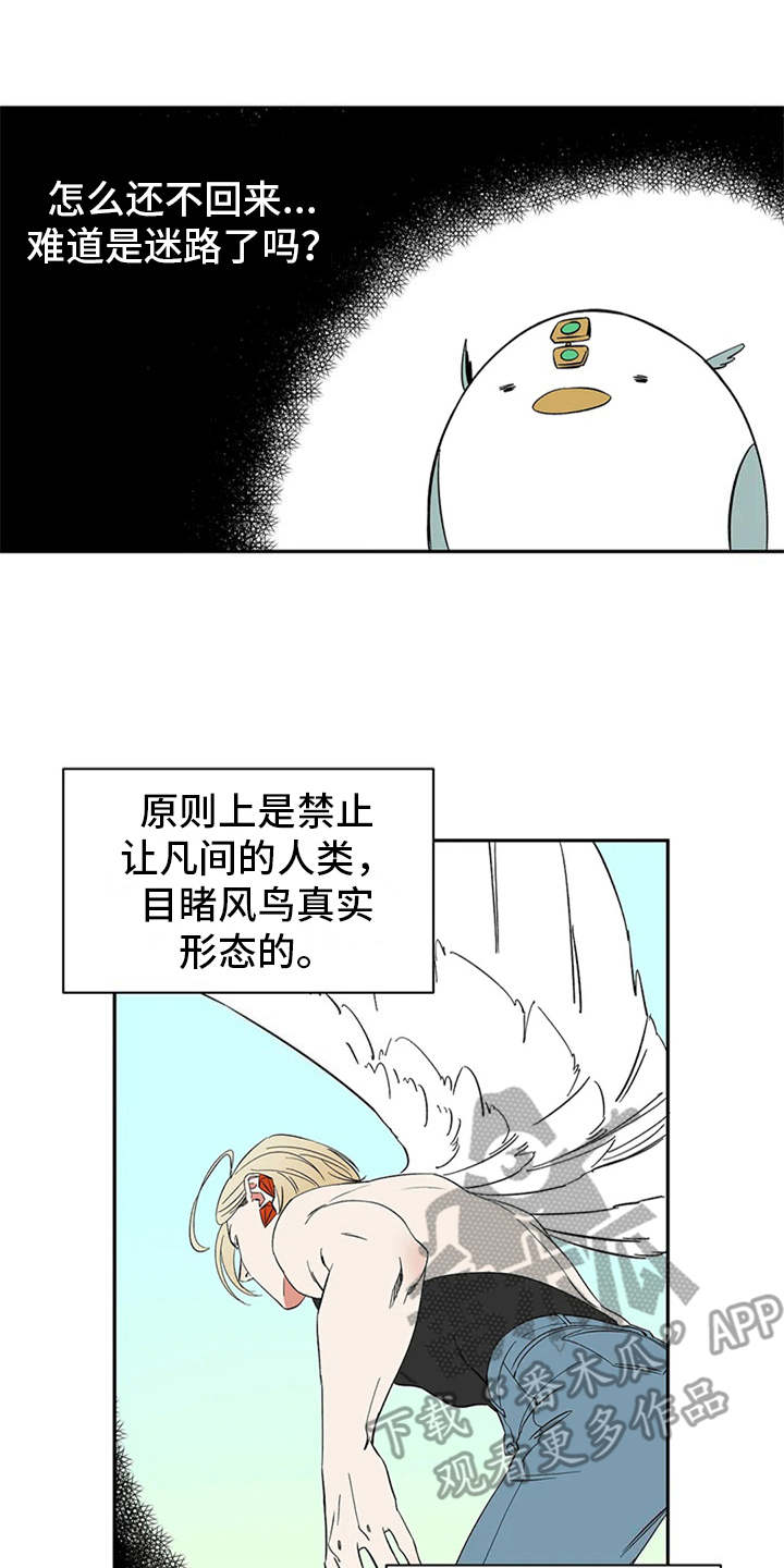 第16章：自由翱翔1