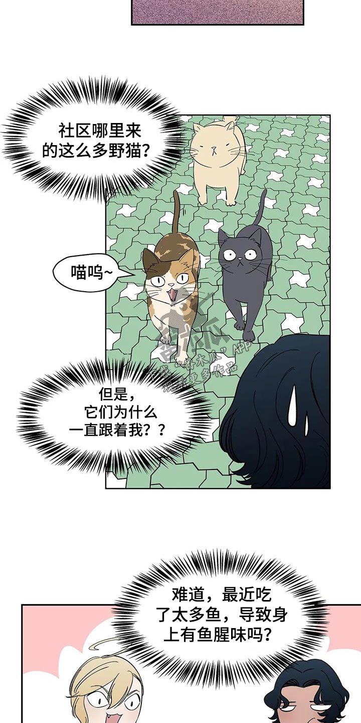 第80章：【第二季】特别5