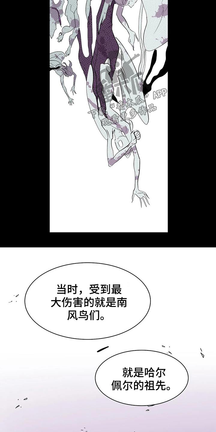 第51章：打算5