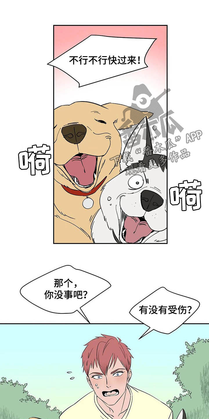 第20章：不许看！8