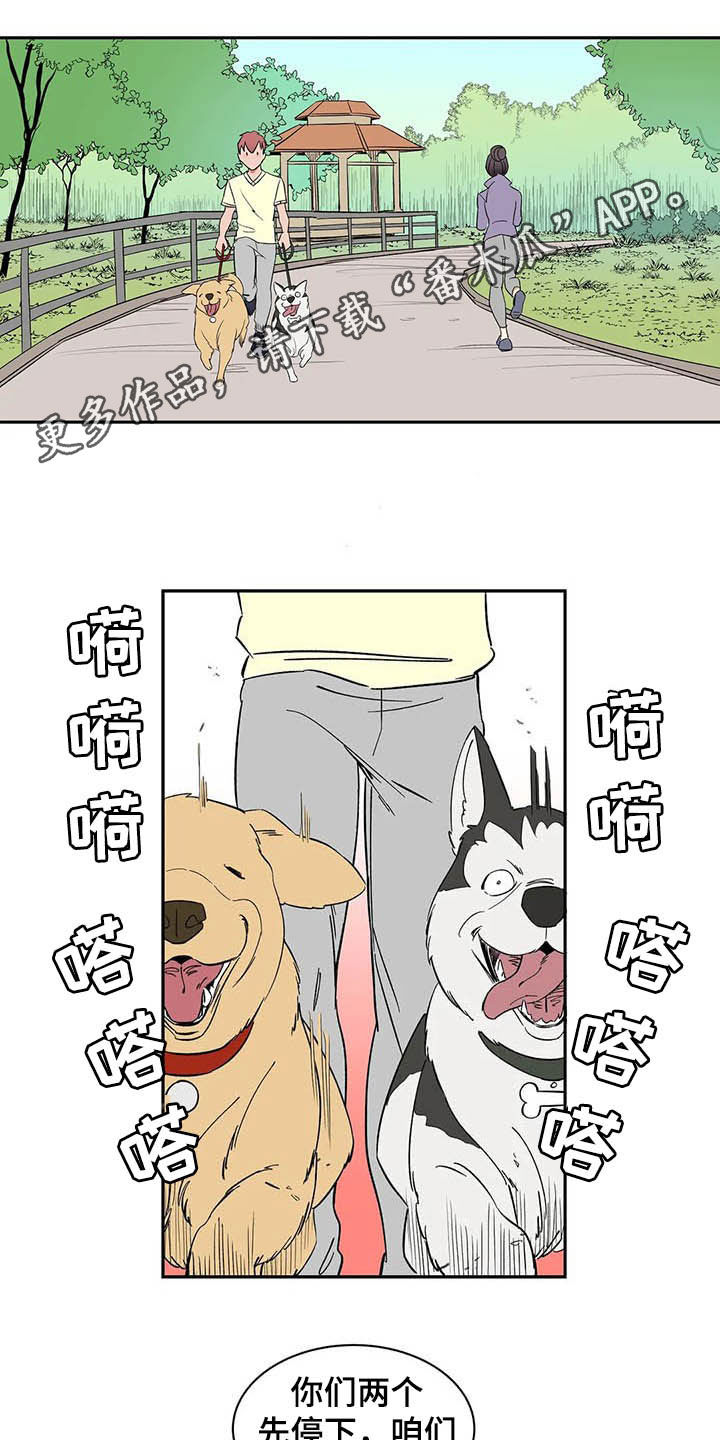 第20章：不许看！0