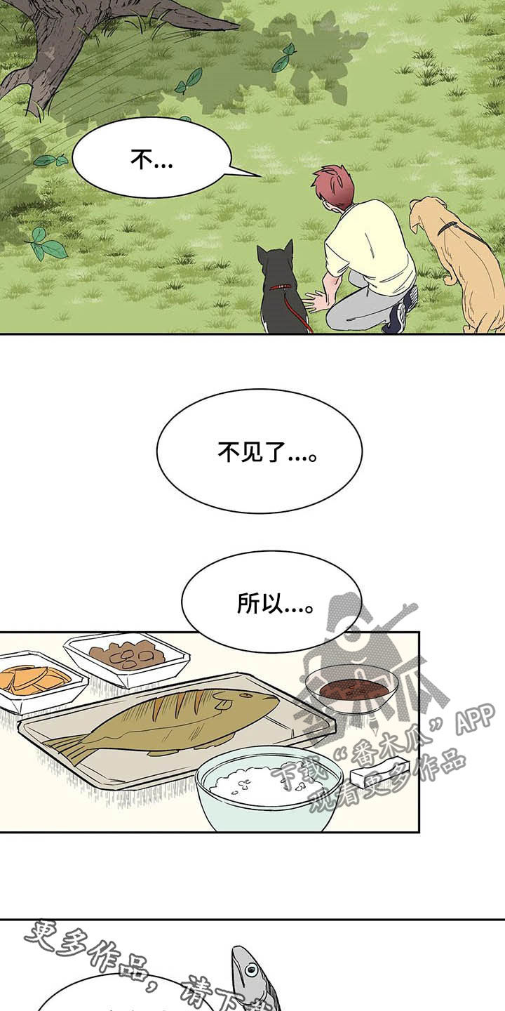 第20章：不许看！15