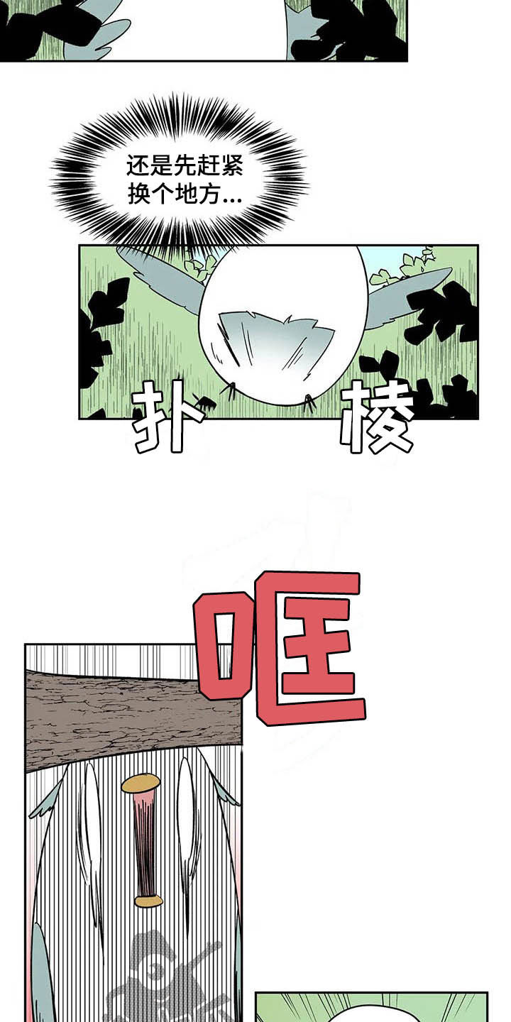第20章：不许看！6