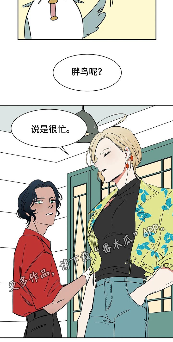 第51章：打算16