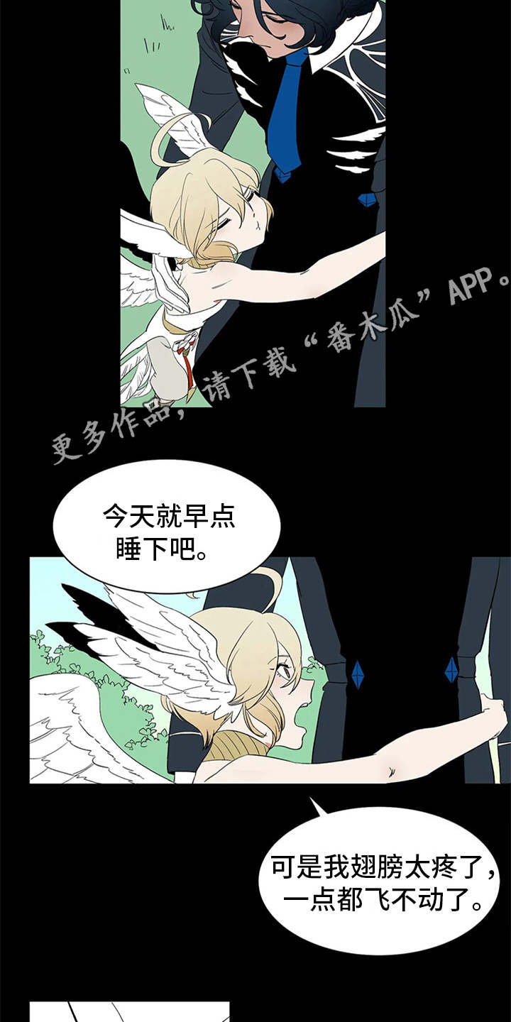 第12章：不见了9