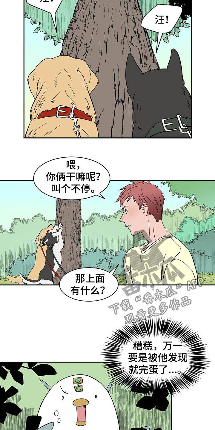 第20章：不许看！5