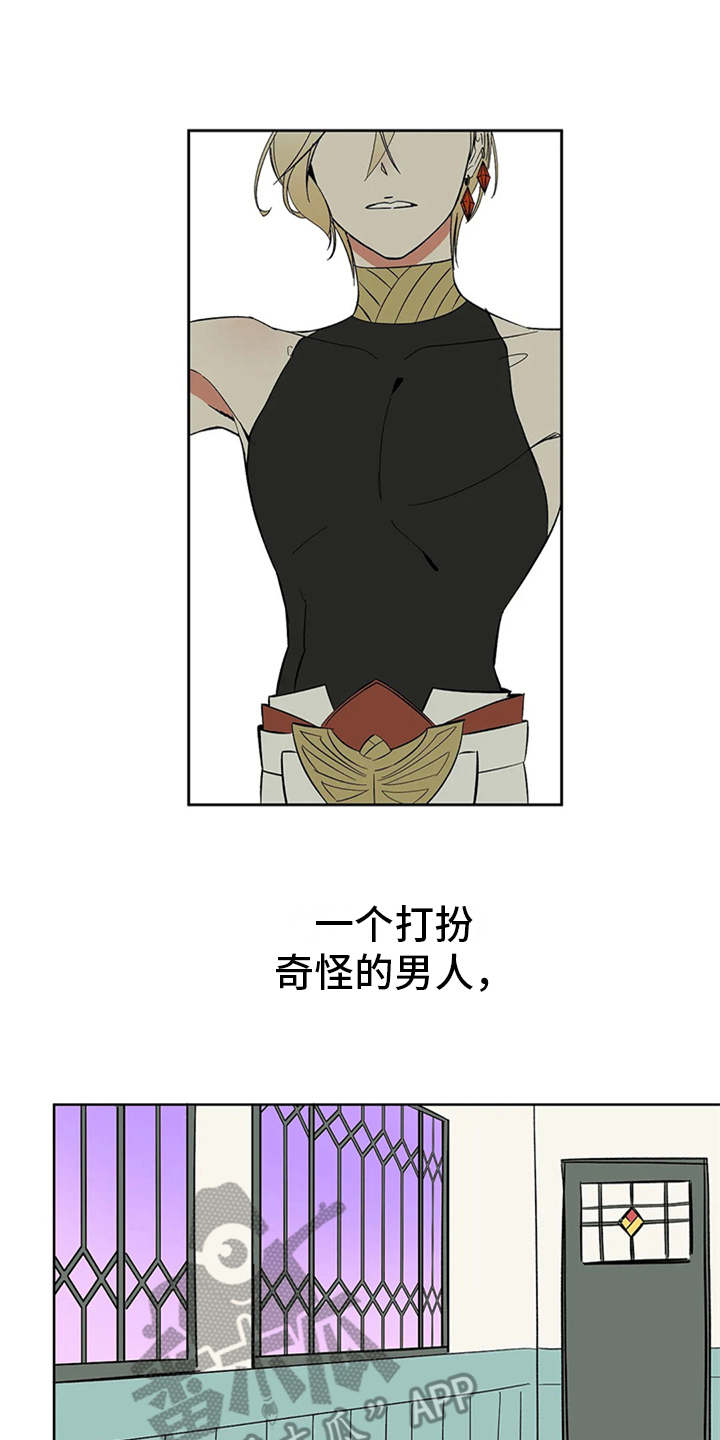 第6章：宝石0