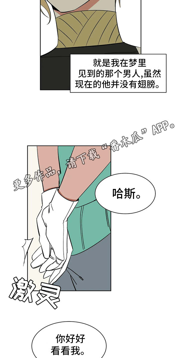 第6章：宝石3