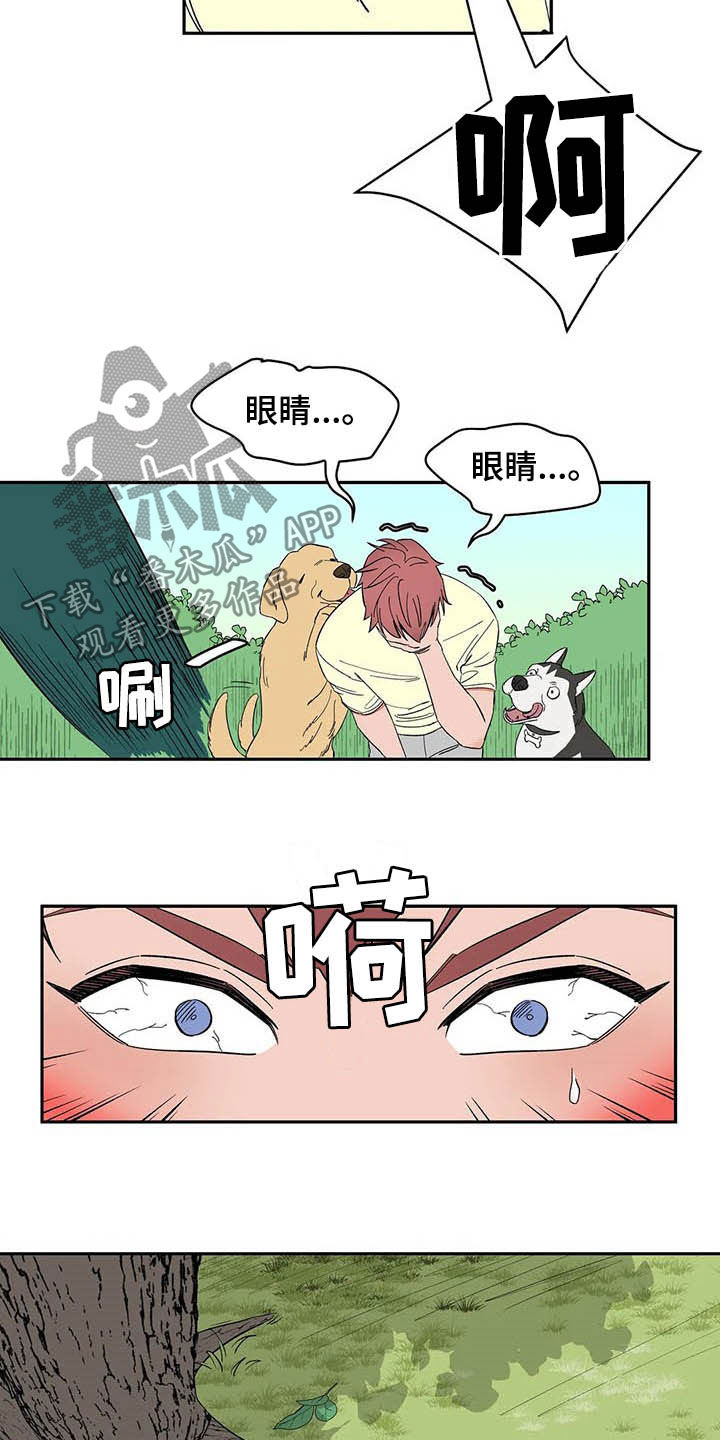 第20章：不许看！14