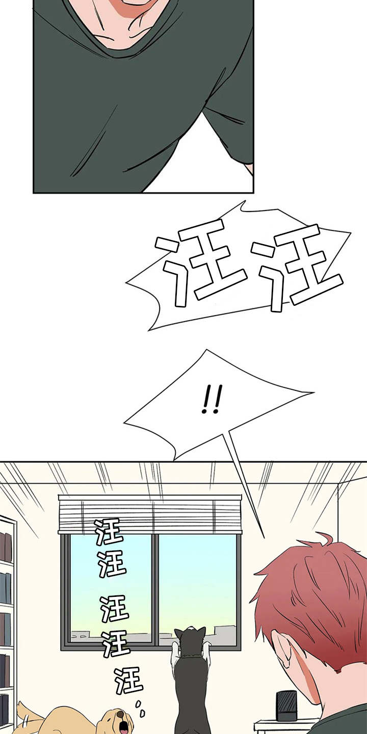 第14章：找上门10