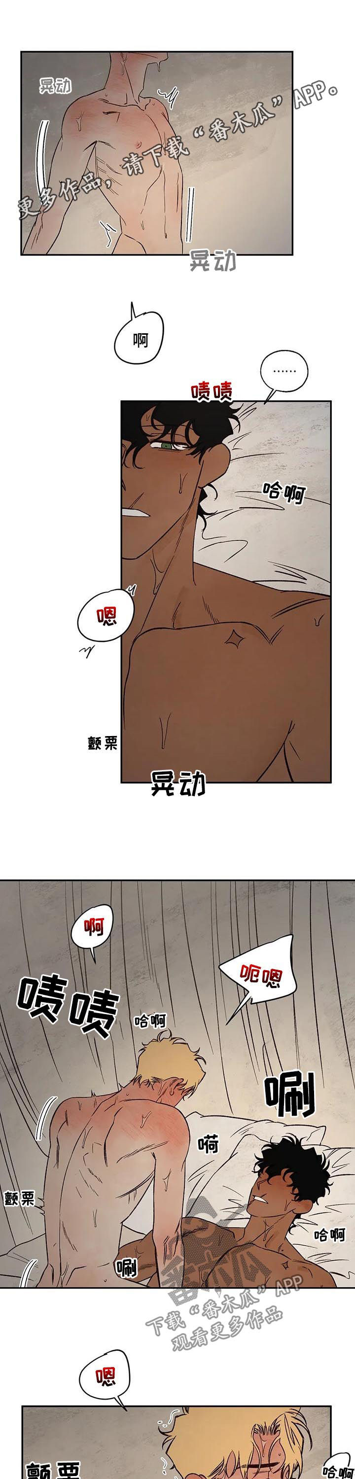 第51章：放你一马0
