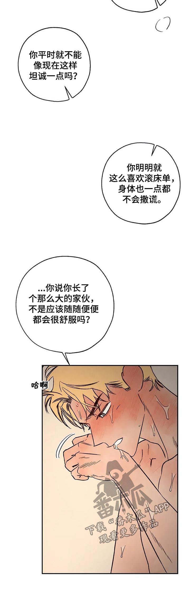 第51章：放你一马5