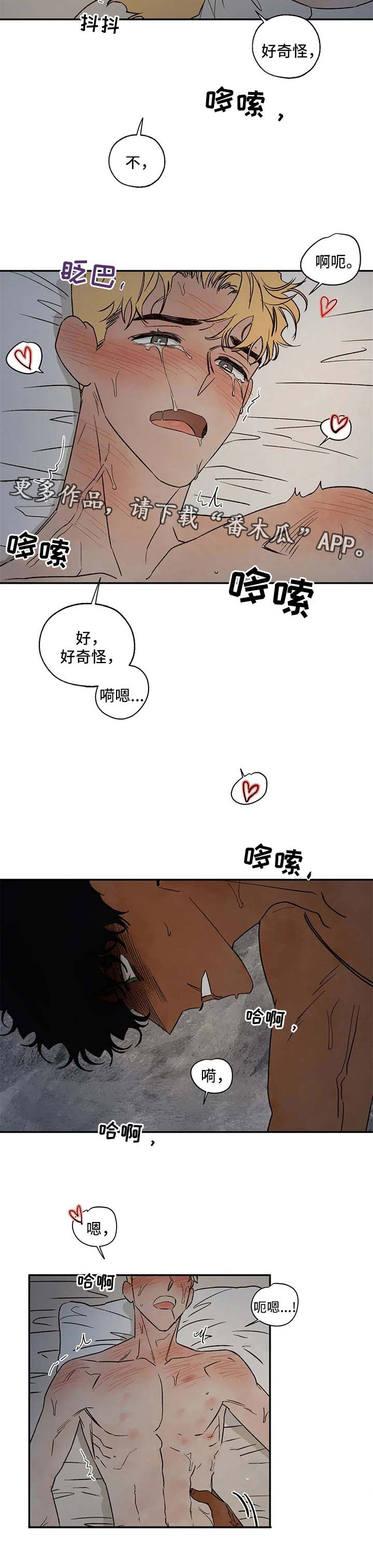 第36章：还不够6