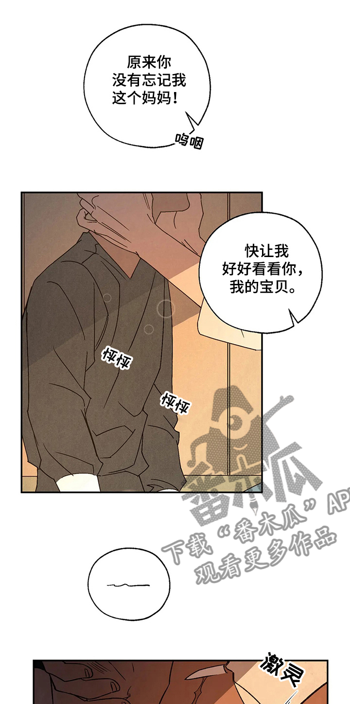 第52章：母亲10