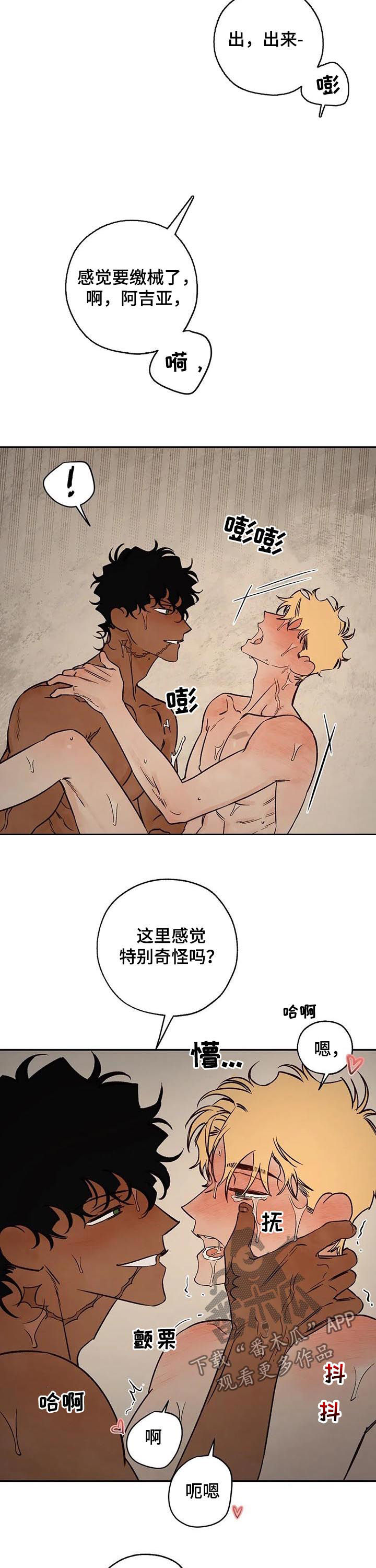 第51章：放你一马8
