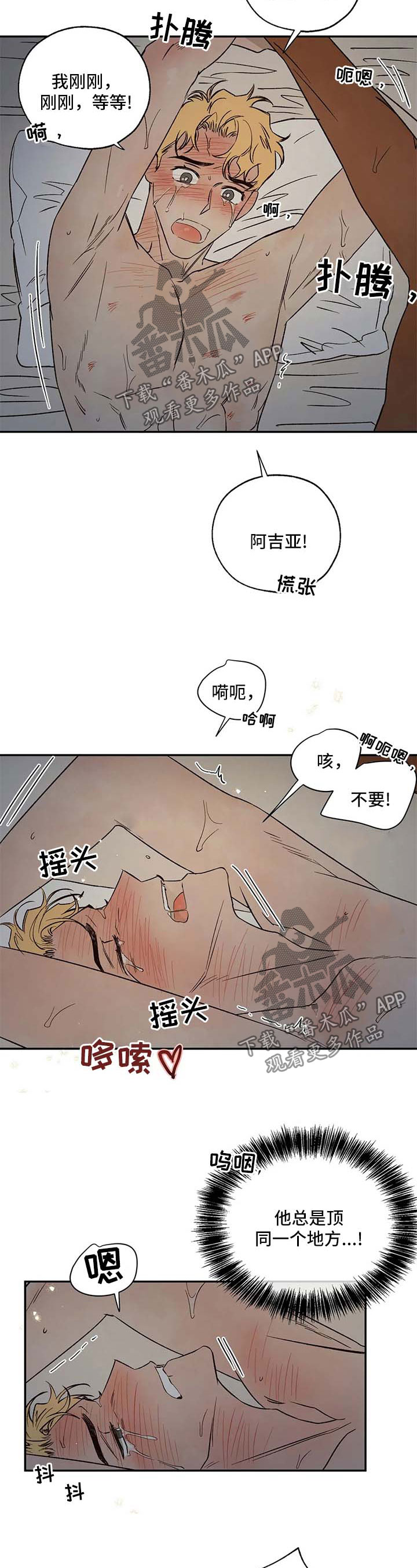 第36章：还不够8