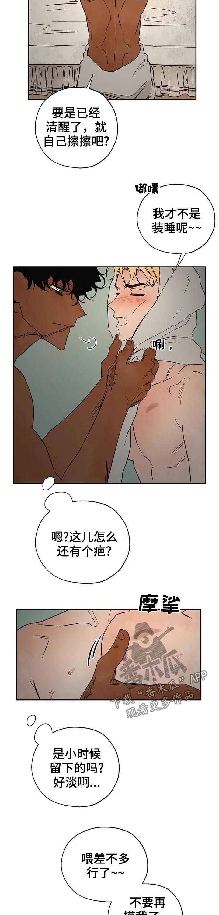 第37章：谁才是真的2
