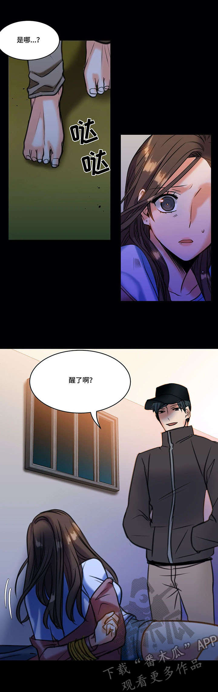 第18章：绑架9