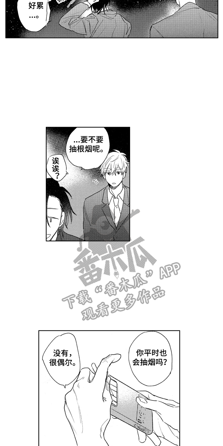 第13章：散步 6