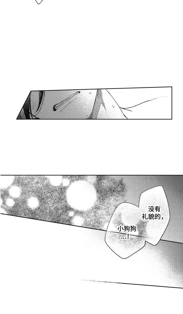 第25章：随便你 17