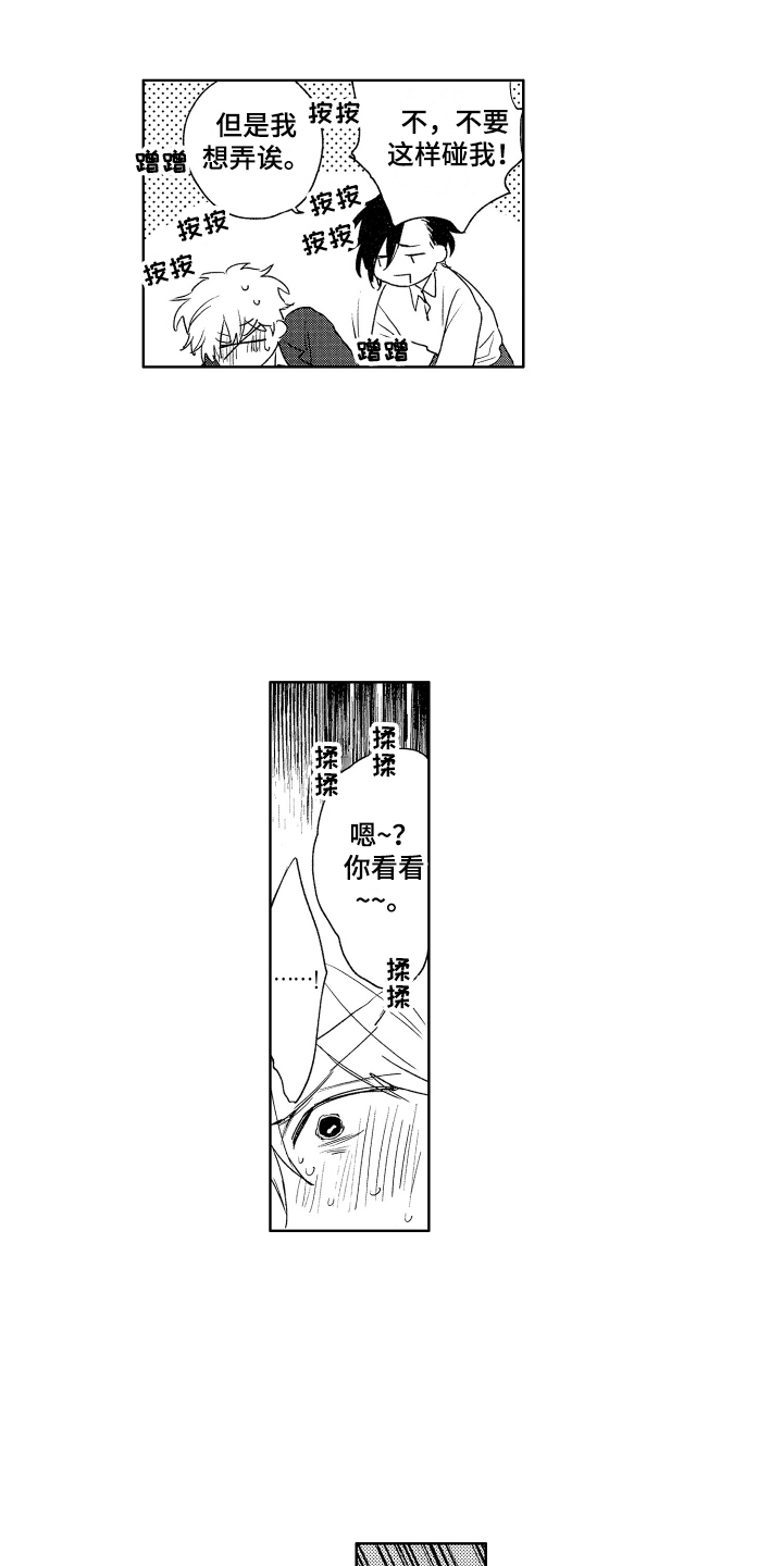 第14章：珍惜 5