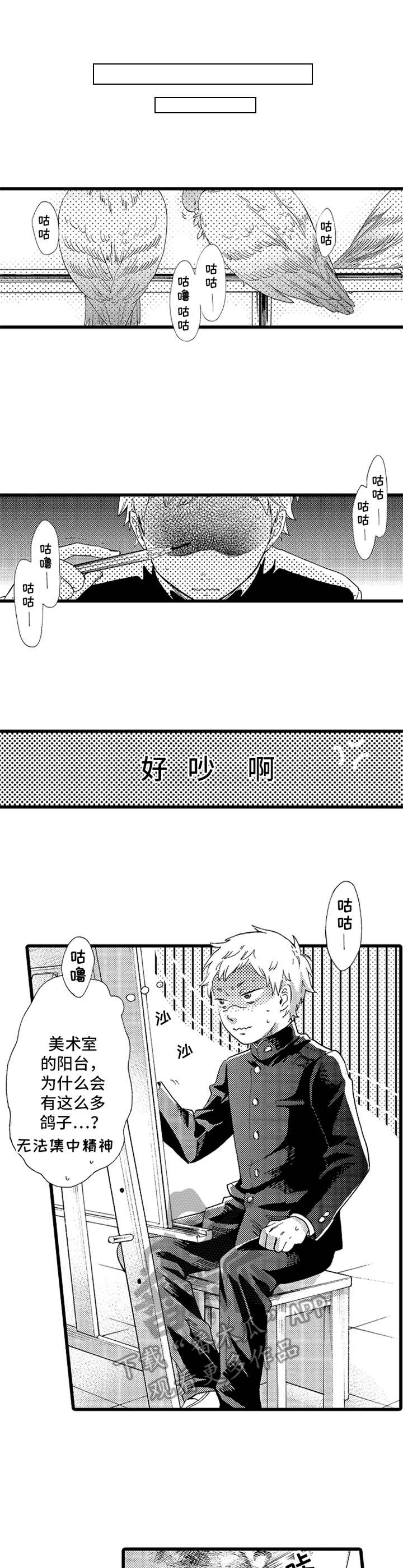 第13章：鸽子0