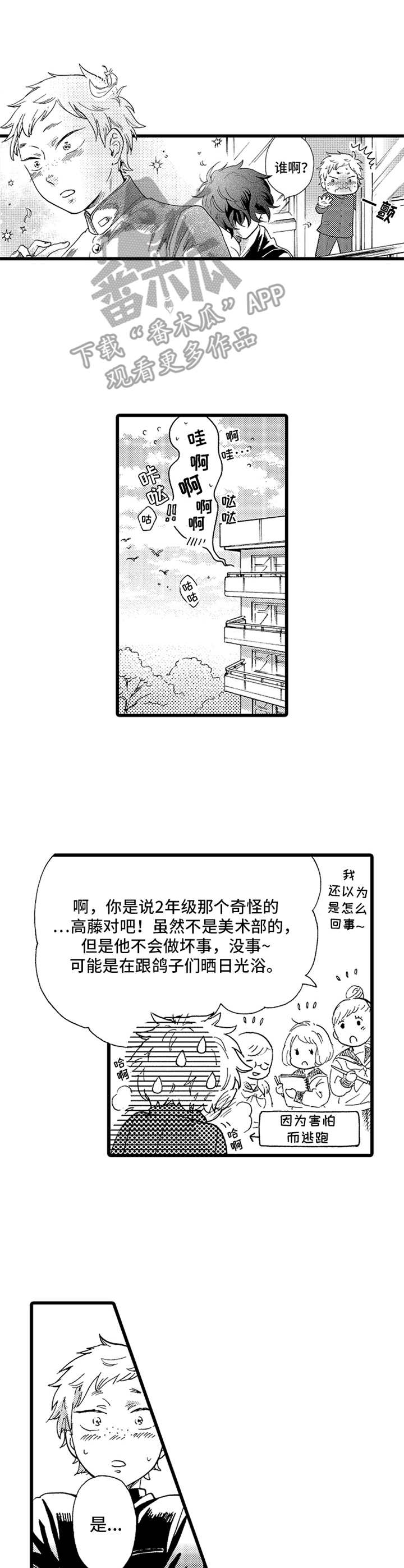 第13章：鸽子2