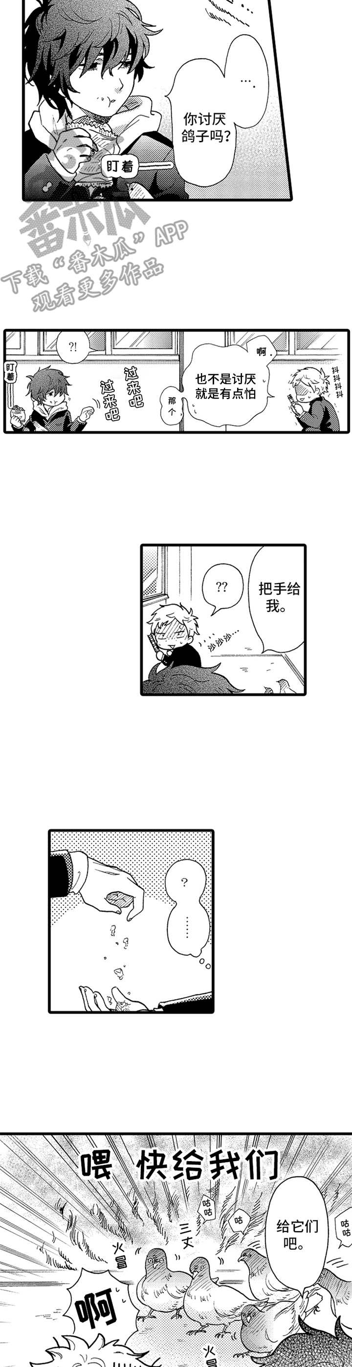 第13章：鸽子7