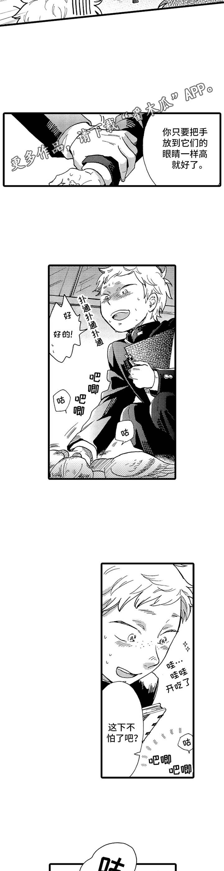 第13章：鸽子8
